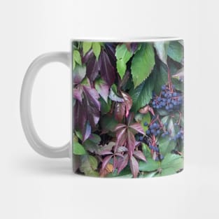 Virginia Creeper Mug